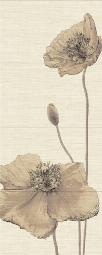 양귀비 (DS-7741)