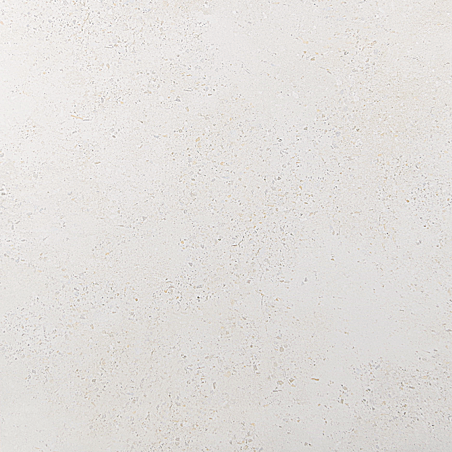PORTUGAL IVORY