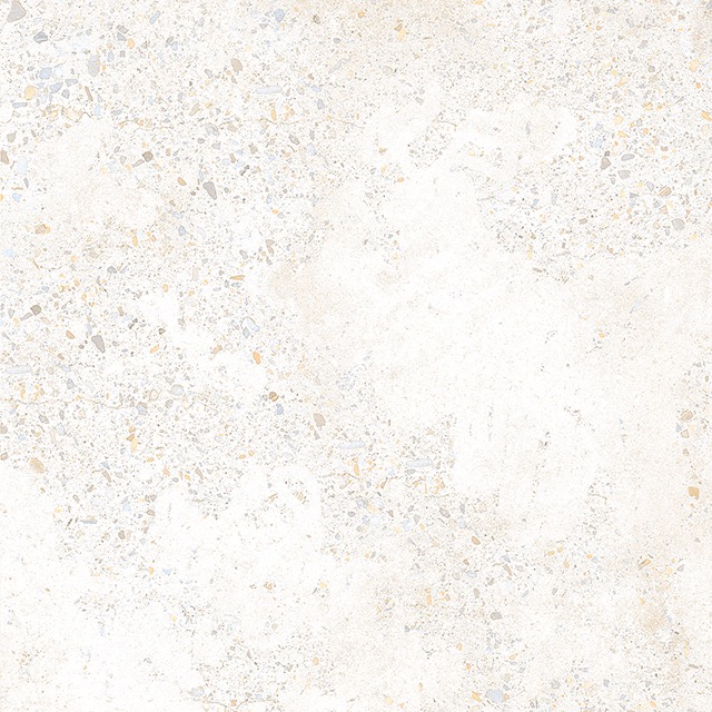 PORTUGAL IVORY