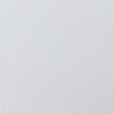 P40501 LWH